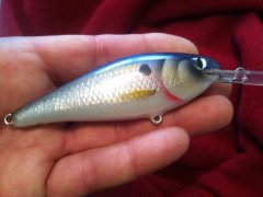 foiled cedar shad.jpg