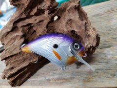 Purple Shad