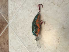 CR Custom Lures Killer Gill (12+)