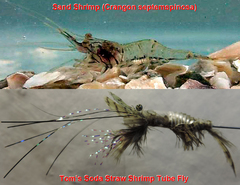 Sand Shrimp Fly