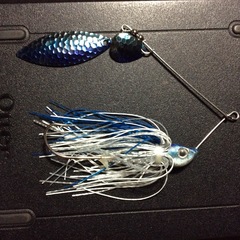 Spinnerbait