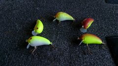 First baits completed