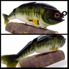 2N Shad Basshead Colorway.jpg