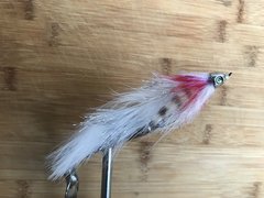 jointed predator fly