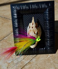 Peacock Bass Jig