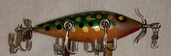 TR Fish Custom Lure