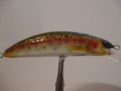 Baby Rainbow Minnow