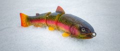 Rainbow Trout with bright fins on an 8" SPRO KO