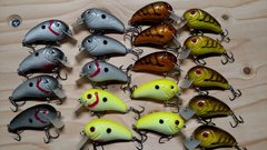 New batch of crankbaits