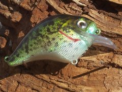 HDH Crappie1.JPG