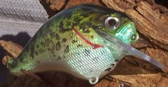 HDH Crappie2.JPG