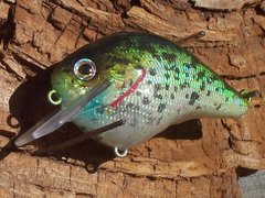 HDH Crappie4.JPG