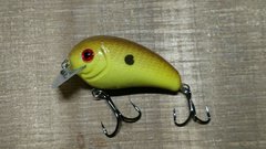 Chartreuse shad