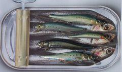 sardines 1.JPG