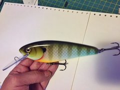 muskie gill5.jpg