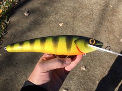 10 inch perch.jpg