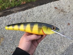 10 inch perch4.jpg