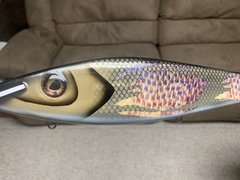 14” cedar musky lure