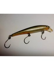 golden shiner.jpg