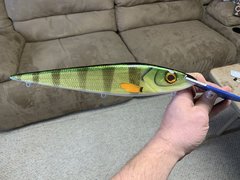 12” cedar musky bait