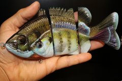 1st place - Bluegills Swimbait - By Yohan Custom Lures