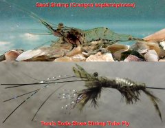 2nd - Sand shrimp fly by TomBell
