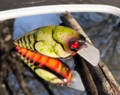 Green Craw