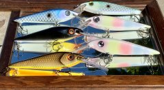 custom painted cedar lures