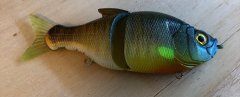 BLUEGILL SWIM 6.jpg