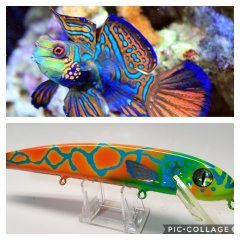 Best Custom Painted Hardbait