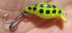 Spotted Frog Bean Lure