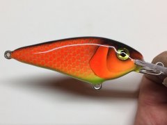 orange bait.jpg