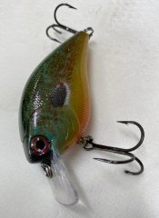 BLUEGILL1.jpg