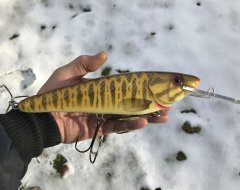 10 inch smallie.JPG