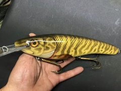 10 inch baits7.JPG