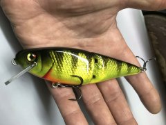 Jointed perch.JPG