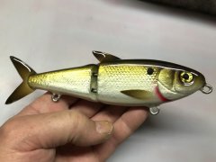 7 inch glide bait.JPG