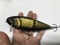 black and gold wakebait.JPG