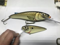 bone gold baits.JPG