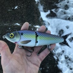 1561219530_7inchswimbait.JPG