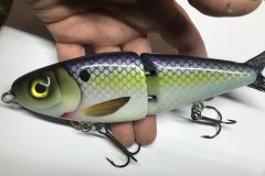 7 inch swimbait2.JPG