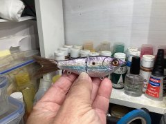 IMG_0980.jpeg