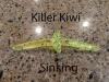 Killer-Kiwi.jpg
