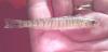 post-24360-041471700 1286246659_thumb.jpg