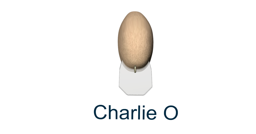 charlieOfront.png