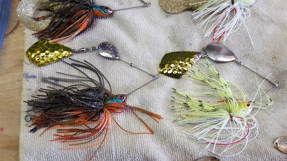 spinnerbaits with triangle blades.jpg