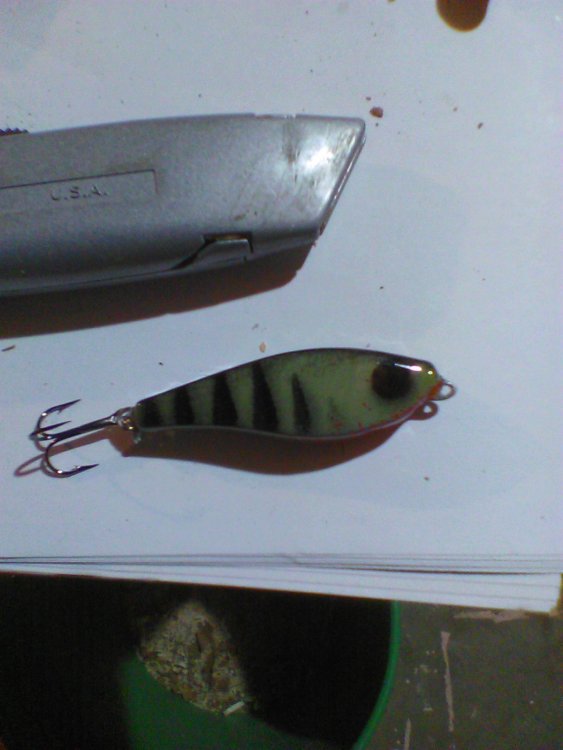 Glide Creek Gray Perch.jpg