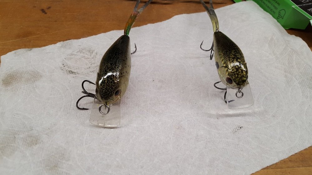 mottled crankbaits.jpg