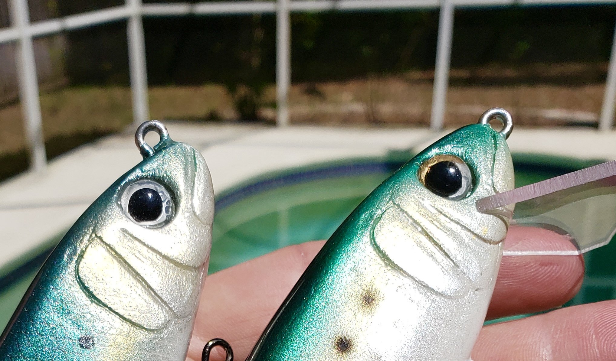 Hesroicy Hard Fishing Bait 3D Simulation Fisheye Increased Fish