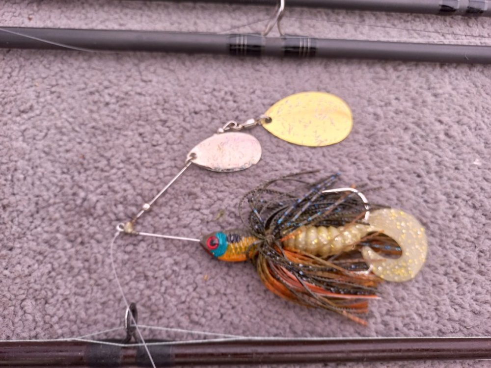 bluegill spinnerbait.jpg